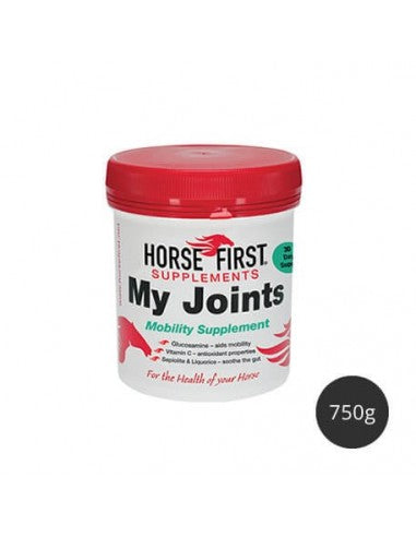 Horse First My Joints