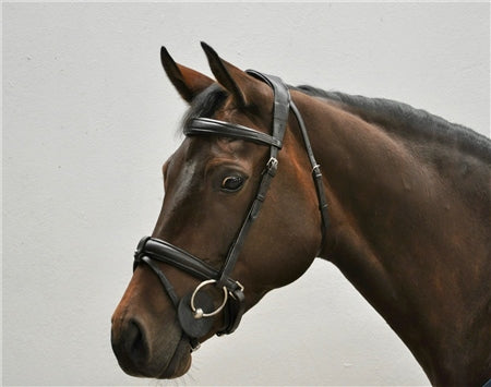 EcoRider Ecolux Comfort Bridle