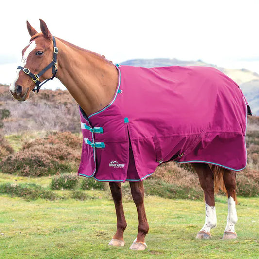 Highlander Original 300 Turnout Rug