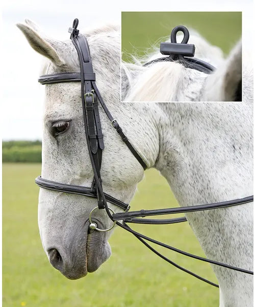 Elastic Training Reins