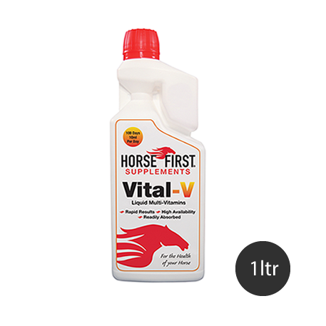 Horse First Vital V