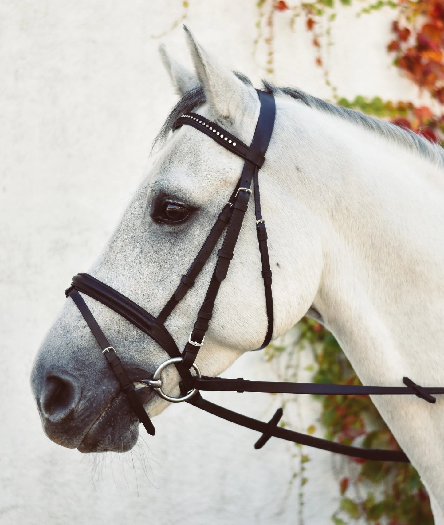 Mackey Equisential Bling Bridle with Reins